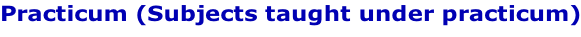 Practicum (Subjects taught under practicum)